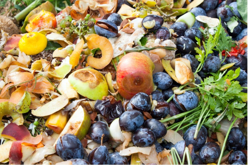 Upcycling food waste 