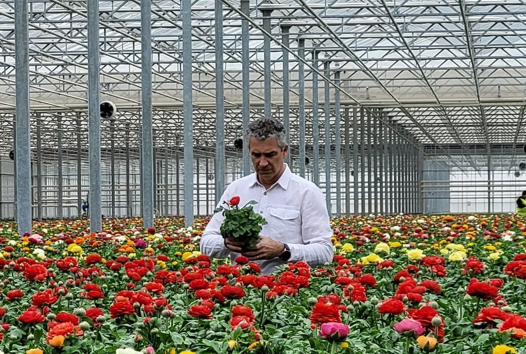 Tesco plans to make its Britishgrown bedding plants peatfree