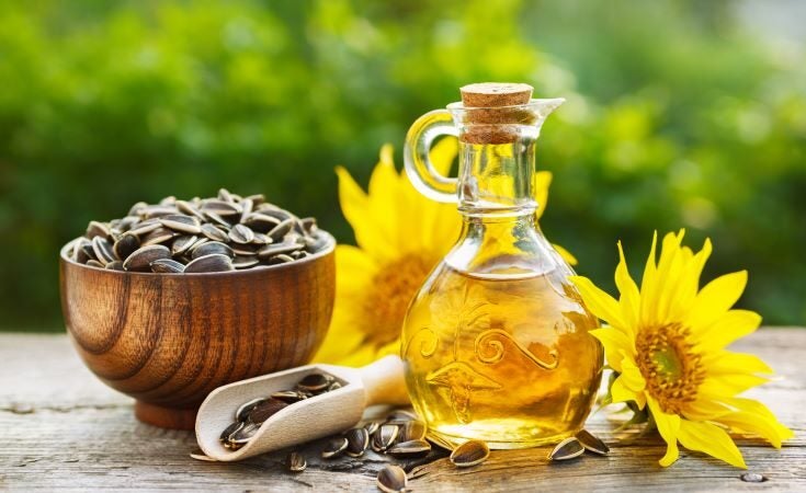 Sunflower oil shortages leave brands scrambling for alternatives