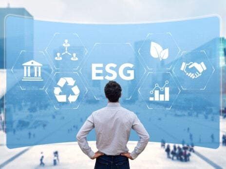 Can embracing ESG be bad for business?
