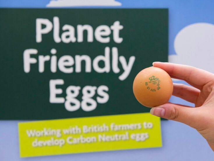 Photo of Morrisons launches line of carbon-neutral own-brand eggs