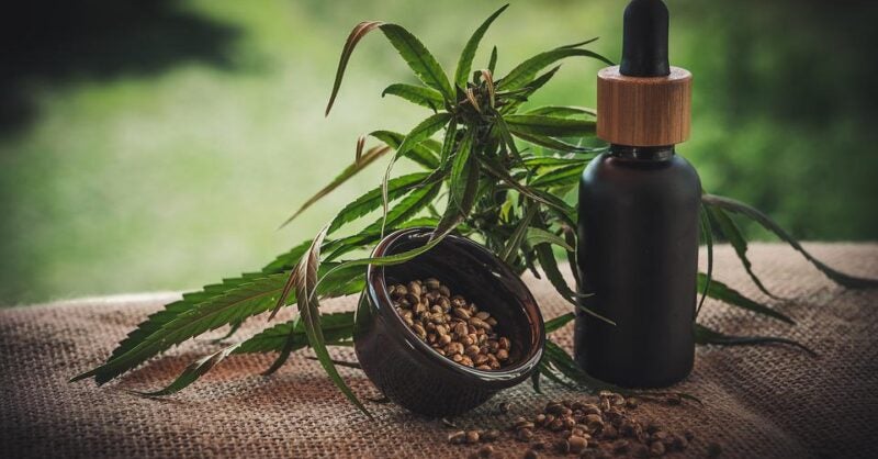 Delta 9 Cannabis to acquire three stores in Manitoba, Canada - Vimarsana News