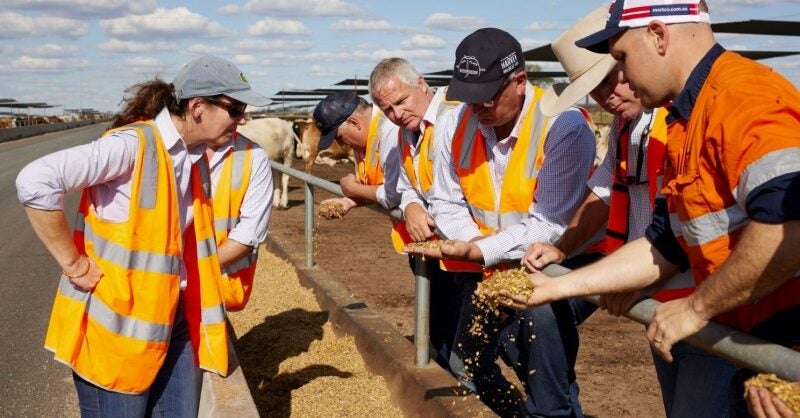 Coles begins methane reduction trial with Mort&Co and DSM - Vimarsana News